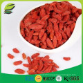 Goji Berry biologique certifié par l&#39;USDA